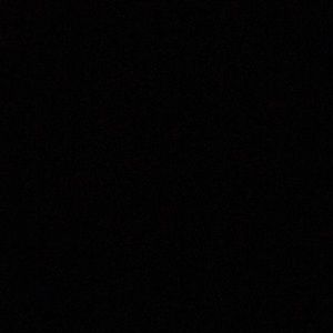 Meet your Posher, Ella